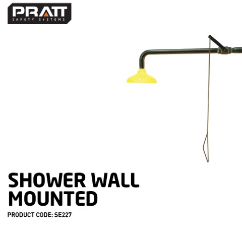 PRATT SHOWER WALL MOUNT DELUGE